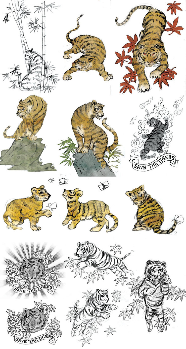 Libero: Tiger Sketches Libero: Tiger Sketches