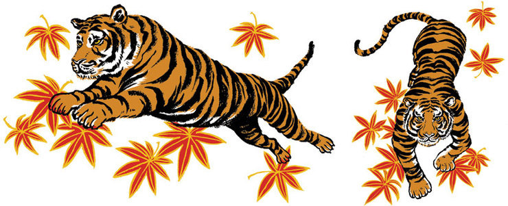 Libero: Unused Tiger Sketches Libero: Unused Tiger Sketches