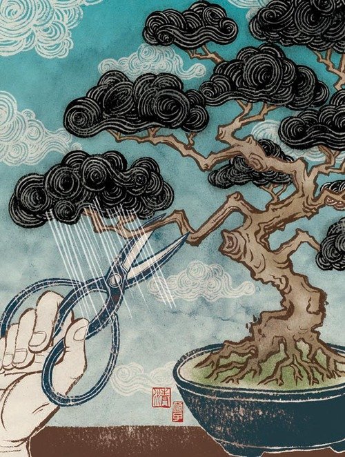 Embedded Art – Art in the Name of Security: Raining Bonsai 72