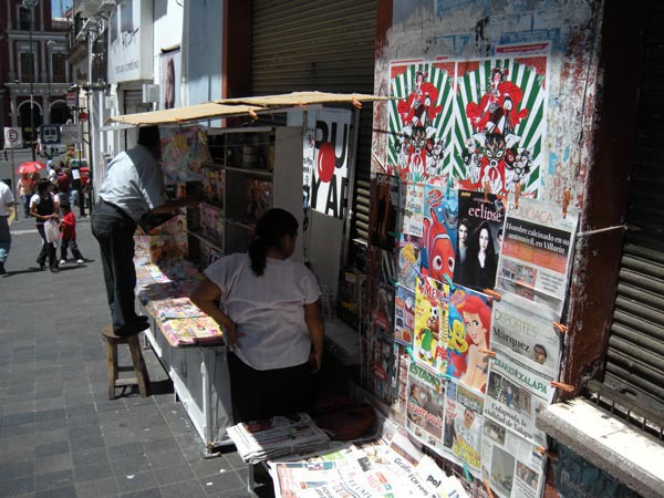 My dog, a proud Mexican photo 3