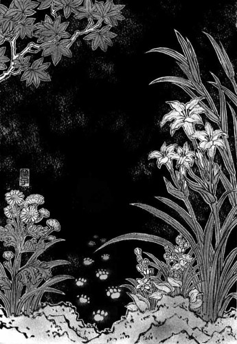 The Beautiful And The Grotesque: The Badger