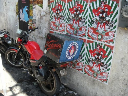 Chihuahua Superhero: Amarillo - Wall 5