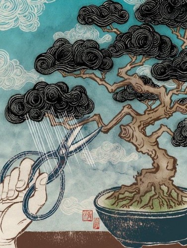 Embedded Art – Art in the Name of Security: Raining Bonsai 72